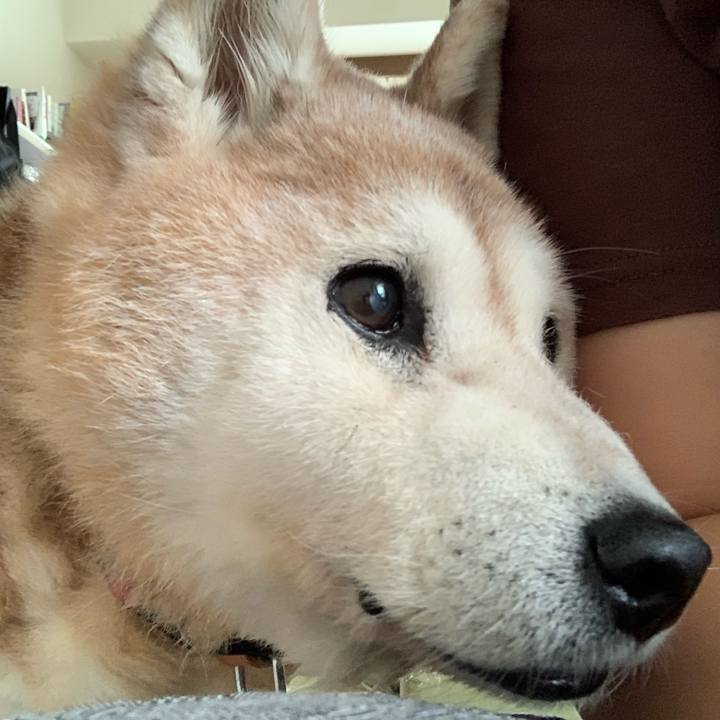 9186de3d e09b 4546 8208 62e29d091b95 1695344021195