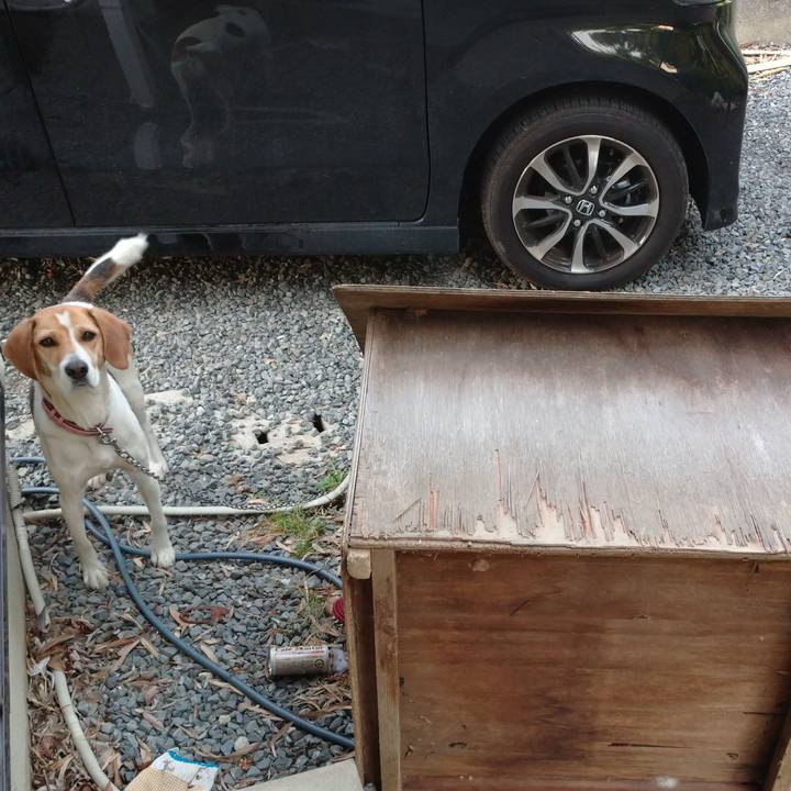 9187208d 1919 43e4 9444 62dc56c02bd3 1639311195321