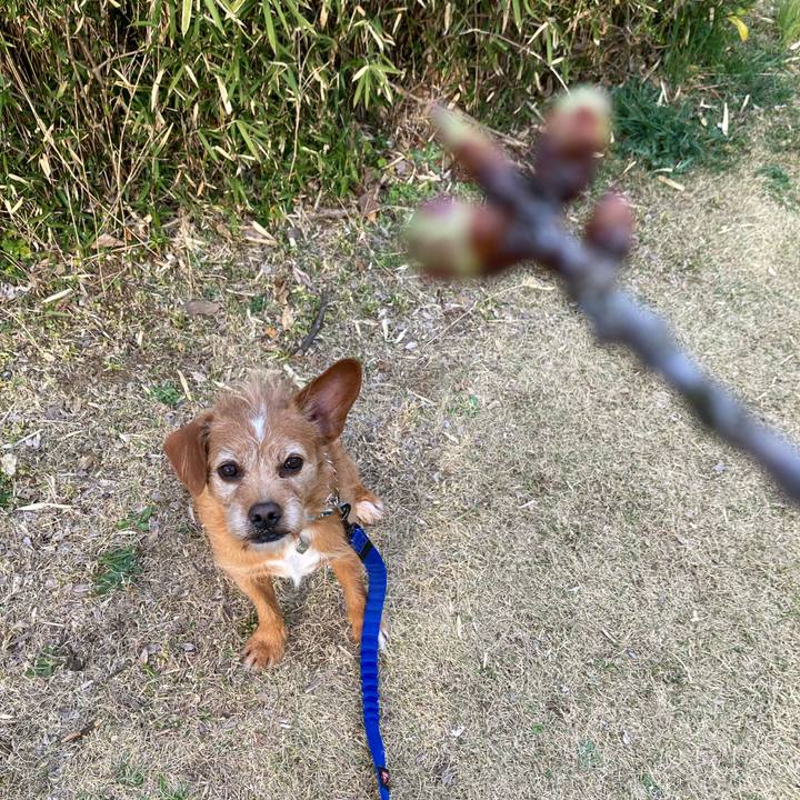 91873173 b9a9 47b3 8829 54406876c5f7 1647514322763