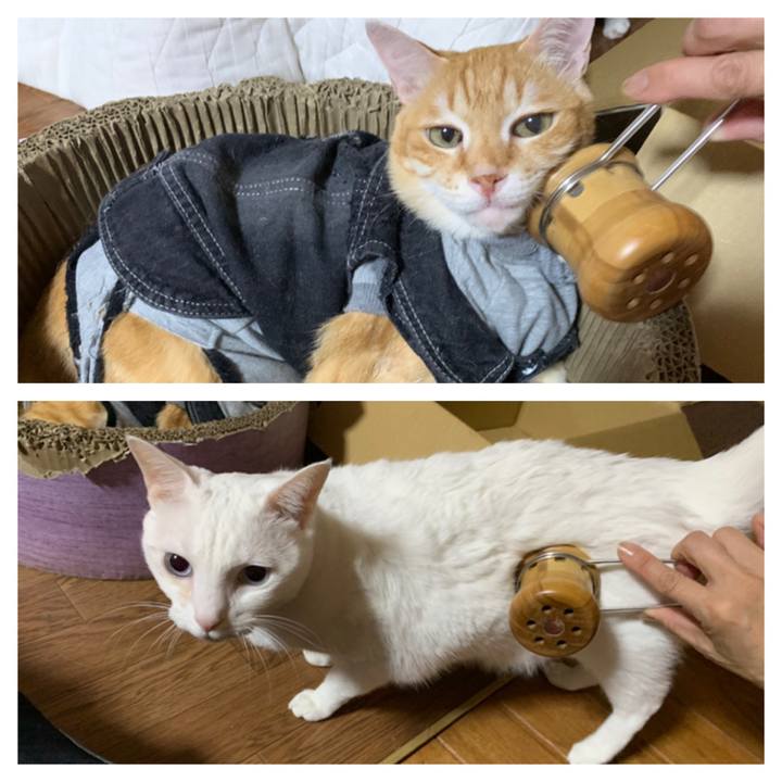 91874bb0 264d 4e31 ab2d cb878b4297fa 1652789306832