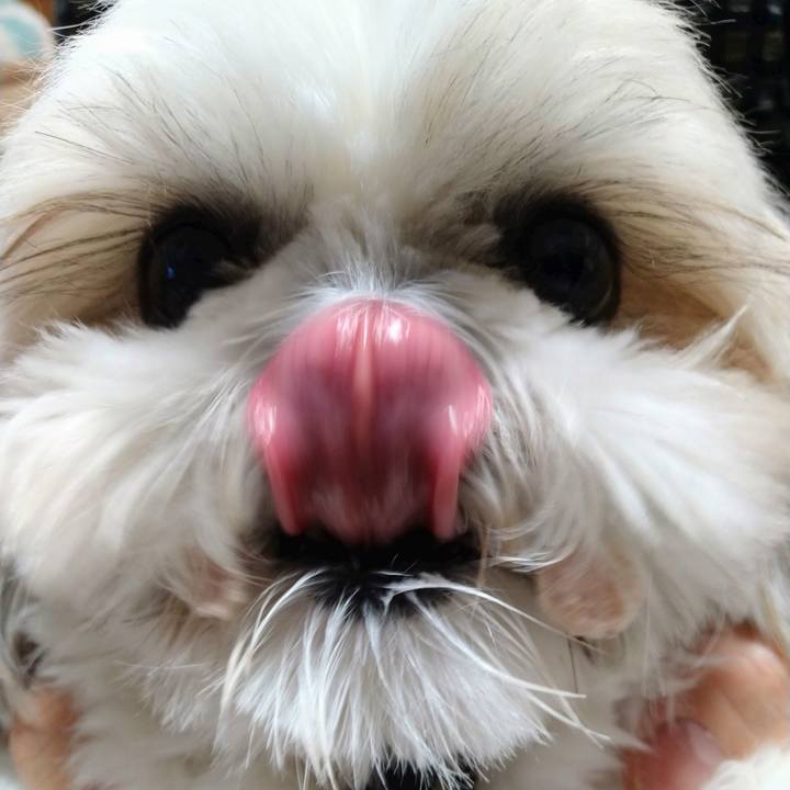 918757e0 b951 4192 bd11 20d84aae9790 1639263366762