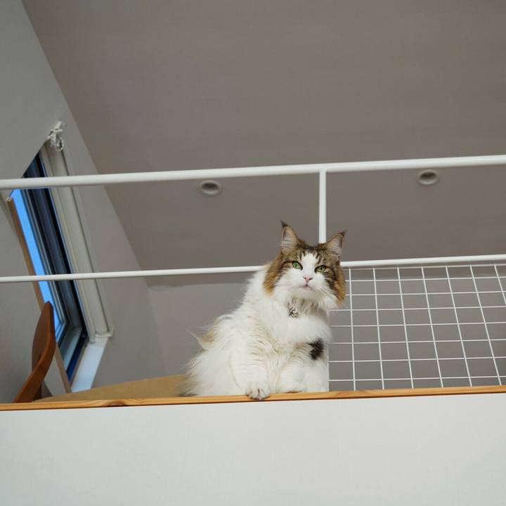 918757f0 8117 485c bffe 8931c5fbdf02 1662258558449