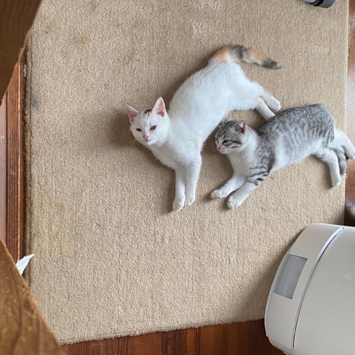 918770b0 cff2 4dbf 895c 09b9aca39944 1594850773990