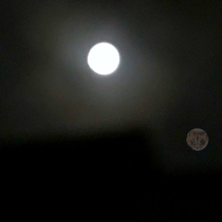 91878f2d c8d4 4214 bf54 77b65fccd133 1537794352501