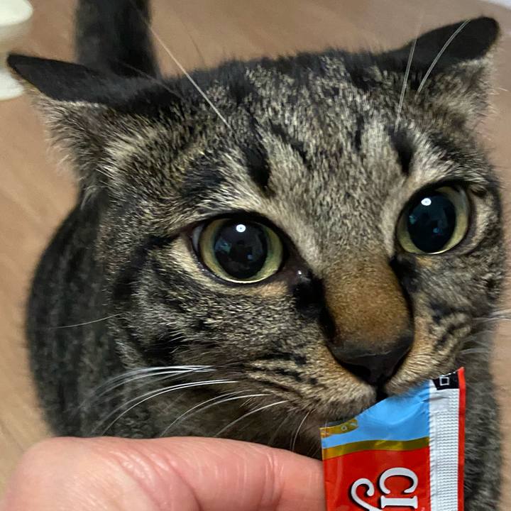 9187c1e9 eb4d 47ce 8649 5d69ba36ac8b 1655210838616