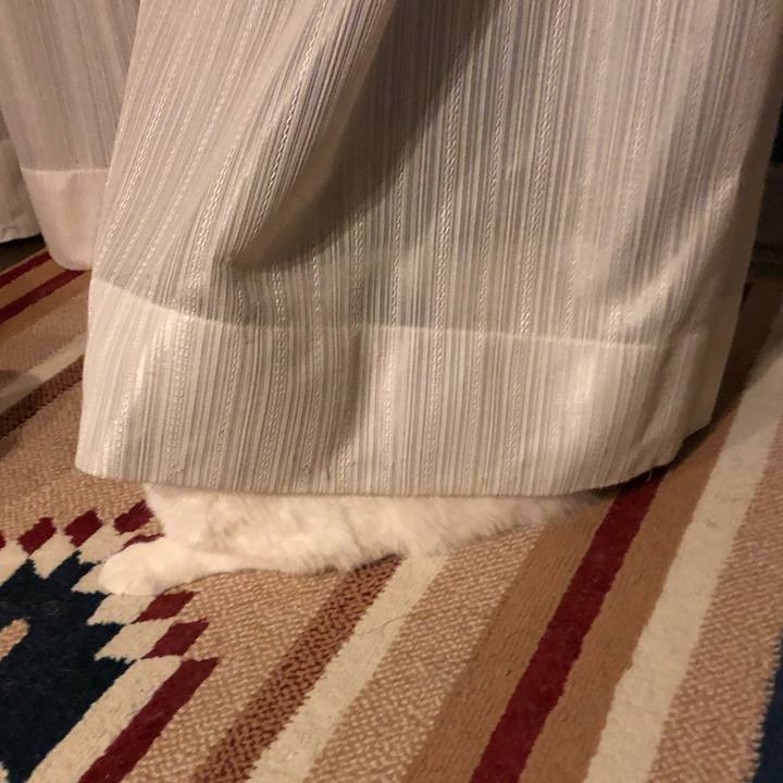 9187d106 c7b6 4e12 93fe 2c5d0c9d64b7 1545747048295