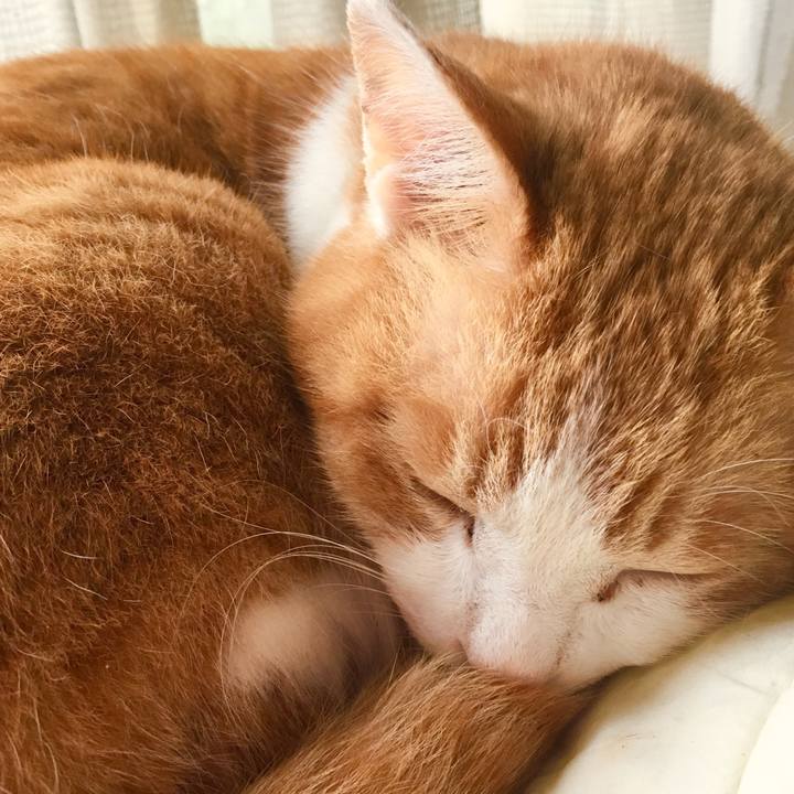 9187de43 a940 4ba2 9aea 9120e941d364 1555537613235