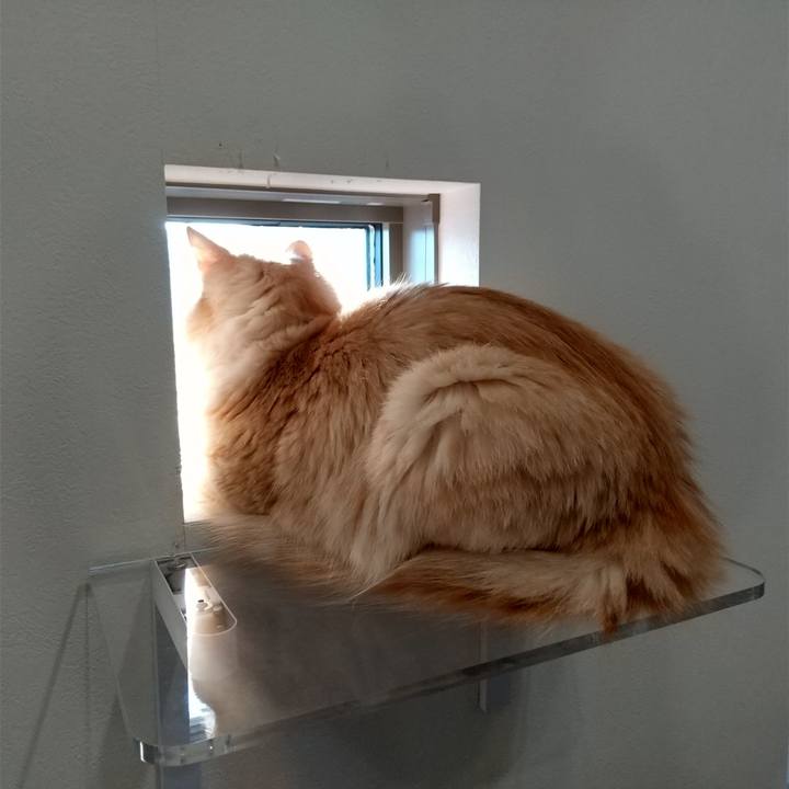 9187e451 f2c9 46ec 8104 4efb260c8ca4 1636073066669