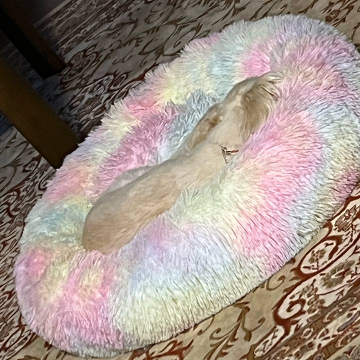 91882e2a 4915 4c09 8440 bd1787656b06 1665146119371