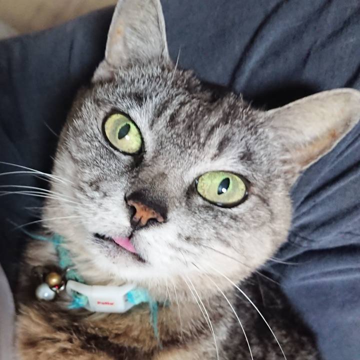 91885df8 8234 4d9d a308 a696c7d7cbde 1562843296454