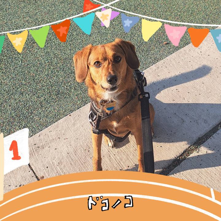 9188ff48 b5b1 4748 8996 42d29faf7a22 1761129239379