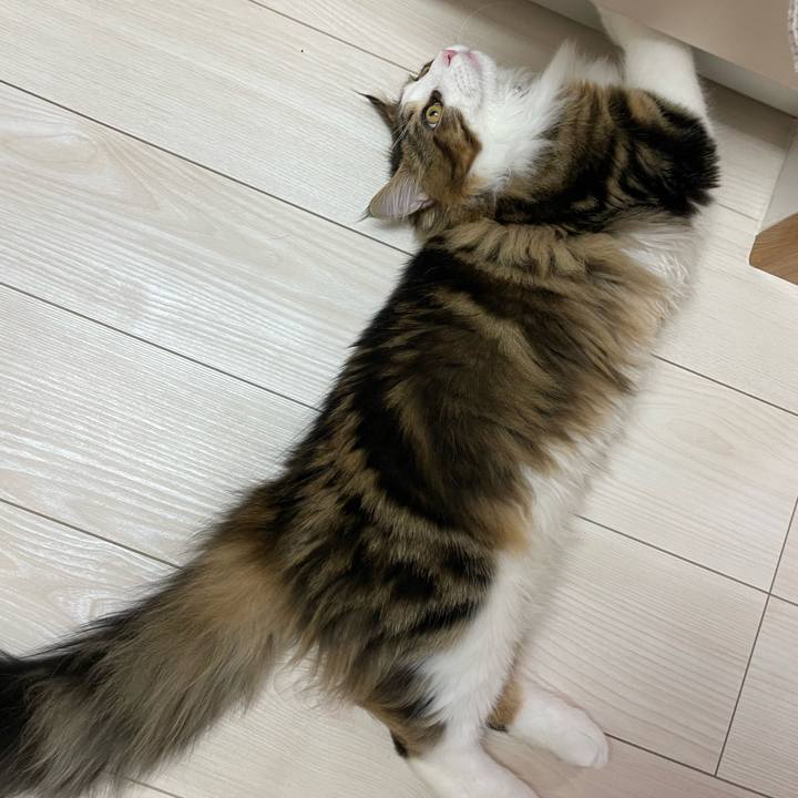 91890757 aa03 4b57 9581 e88cd689581e 1641418474657