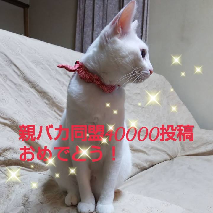 9189097c 3960 4a62 b3b5 1c17ef34804e 1563712845318