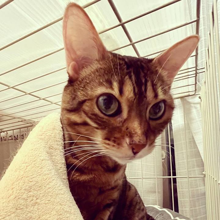 91892d07 7515 4a8d a082 d08cbe34e327 1643843960682