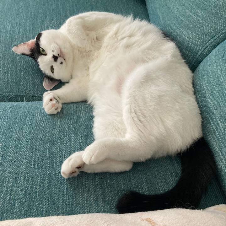 918962b8 c05c 4458 9d33 dc8cf6d9b375 1758758083924