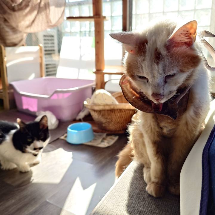 91897b59 ead3 4ac8 98f3 4b561f333e8e 1763605285840