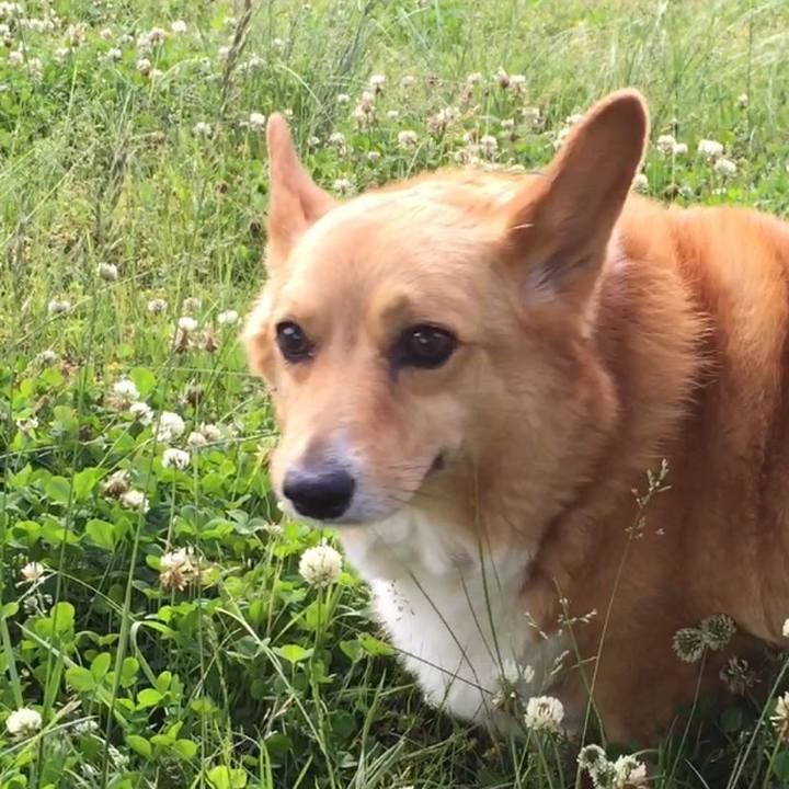 9189b6be 7385 4a17 8172 48849a5af854 1558320866985