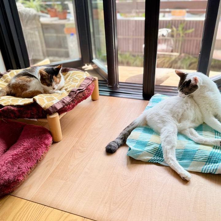 9189f858 1f41 4640 a704 0c76b8d3dcb4 1759631228118