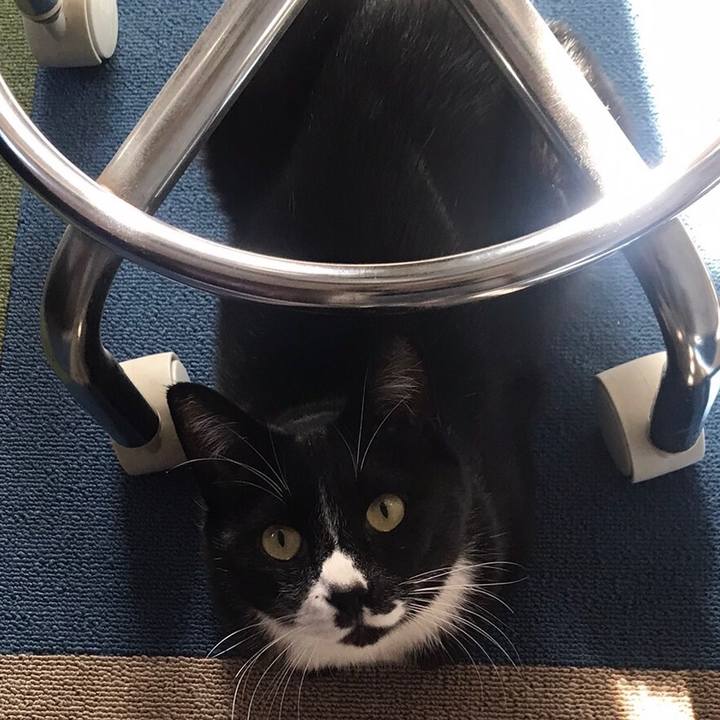 918a0348 fbbd 4c22 b4e1 2e733c33485f 1674444998266