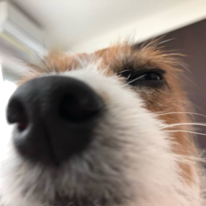 918a196b e5a0 4cd4 9f4d d3d54e992b4c 1557030129632