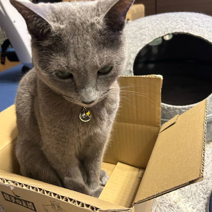 918a416c df3e 4411 8ed1 a08d50f6775e 1715940687988