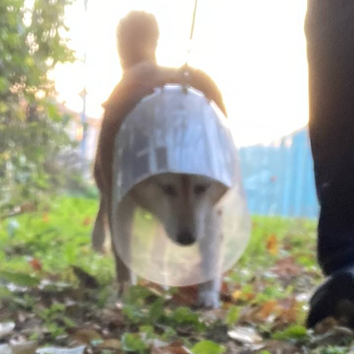 918a4ba9 9f31 44c9 98b7 9269ac7b7087 1667722179602