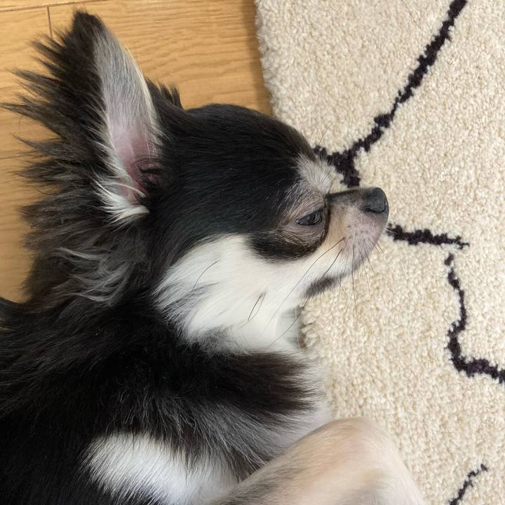 918a4e29 e897 4ca2 b12b b399da0ac7e6 1627185551447