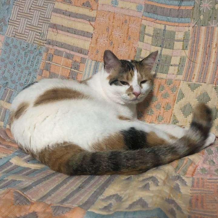 918a9b55 8830 4fee bc9b 448f5f665a70 1588598703363