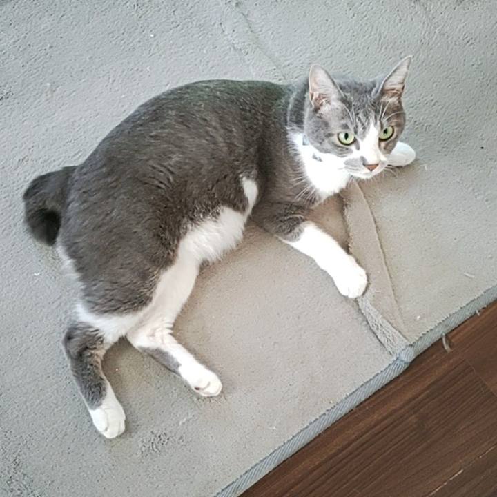 918afbc2 b1a1 46a9 b0b3 69b0681b805c 1695073706797