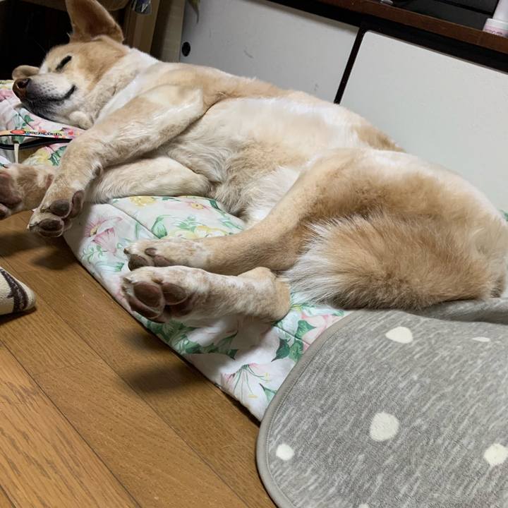 918b0a18 bf92 463f a11b b15d72ac4f2f 1584794727881