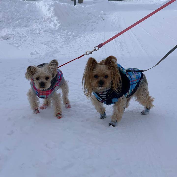 918b1352 fa97 4b8b a2ae d70199885979 1578129827245