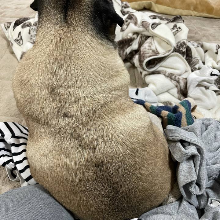 918b1419 84fa 4f2e 8e69 11b29bc51751 1617093098423