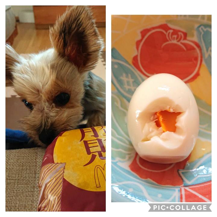 918b2970 0319 47d0 9d3a a6bc583ee9e8 1569564399134