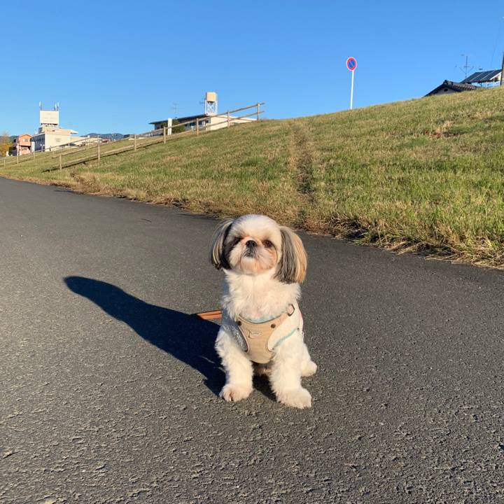 918b3283 e127 494d 831a 421ef603541a 1637973391867