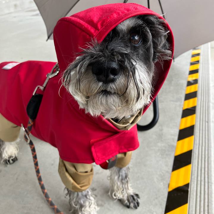 918b638e a4c6 47d3 8de1 8366262d8591 1749957642042