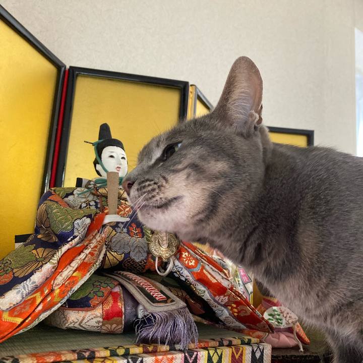 918b89ed 1066 4925 9a21 cccc51df2634 1677629982624