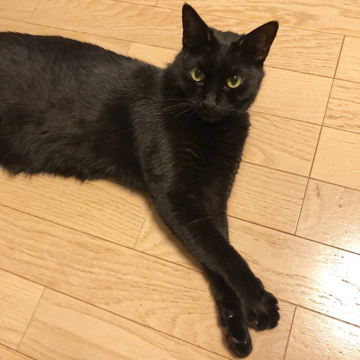 918bdf2d f72b 4f01 b18a 40c7fa897c53 1577109644301