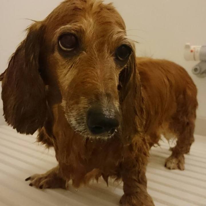 918bf321 2d06 4360 86dd 1d4322c49d02 1690214608183