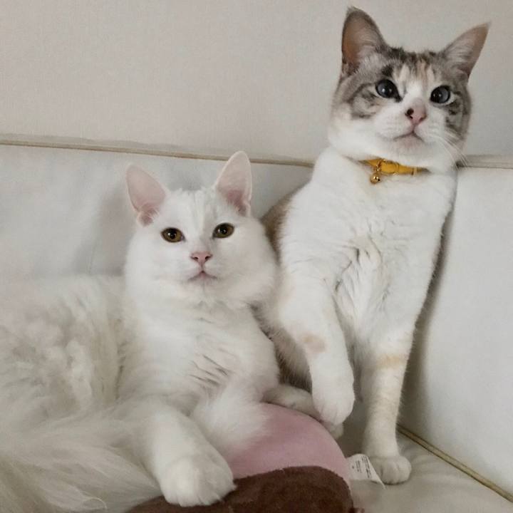 918c9ae9 5ac4 44fd 8c17 fb270da1a3f9 1556622431317