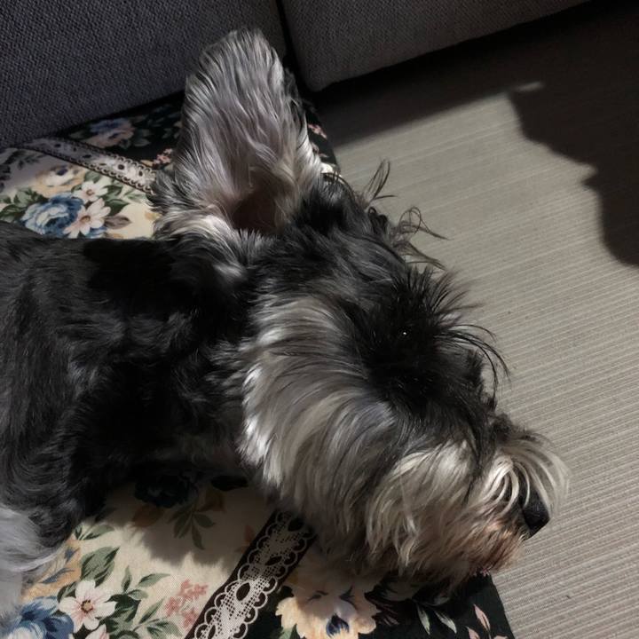 918cc217 ad18 4d4d ba98 c8b332775b2d 1626268514403