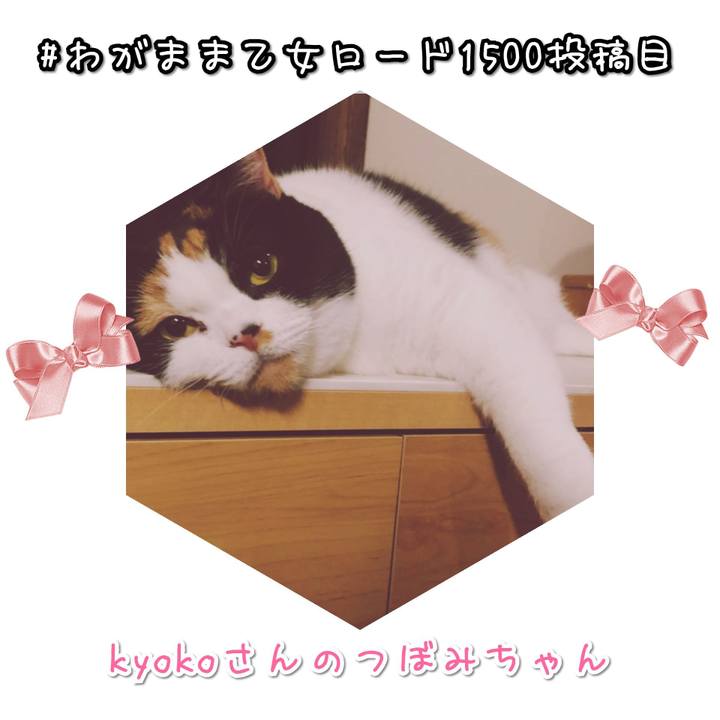 918cd089 151d 40ca b3f2 45c31093291d 1574154472151