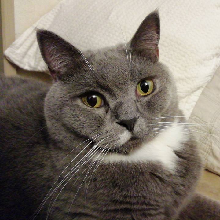 918d0c21 97bc 4a70 bcfa 6ba1b6c18e46 1601166079215