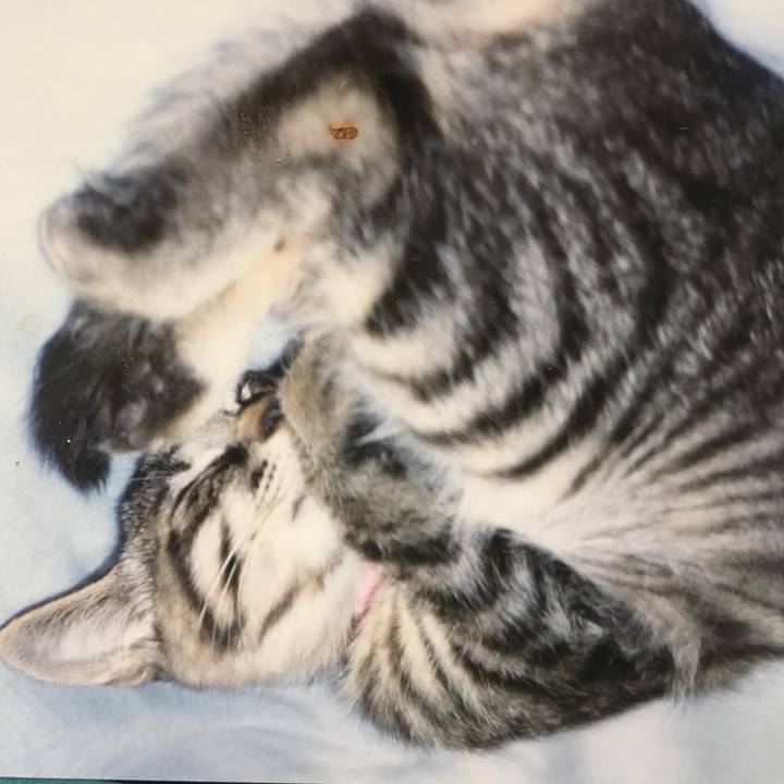 918d1477 a9c4 4b2c 8f20 8f42a1ca2ffb 1524387832899