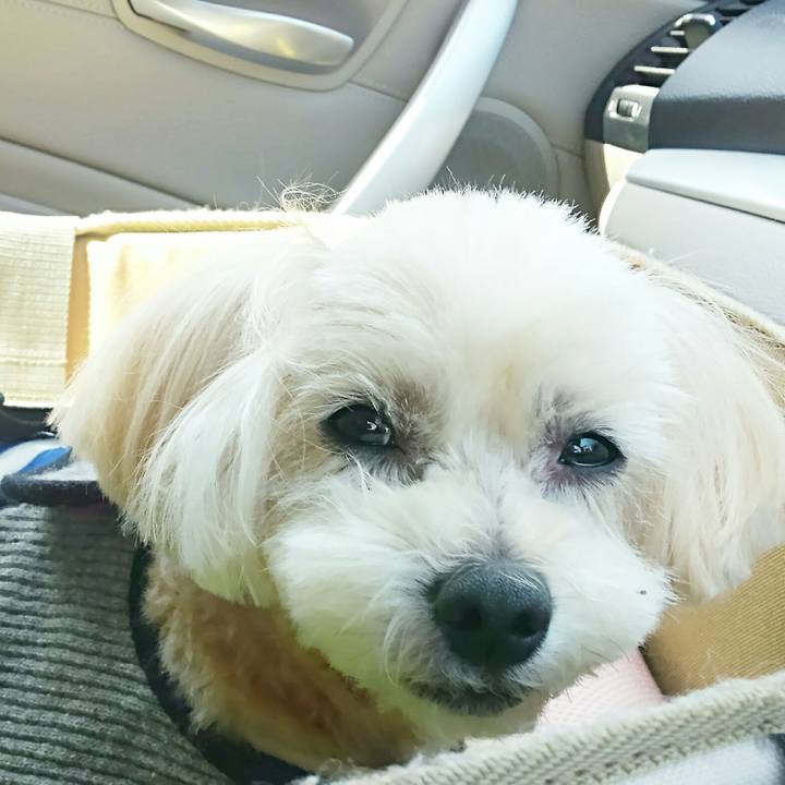 918d323b 53e0 4098 b08b 28a06ef6408a 1524894094933