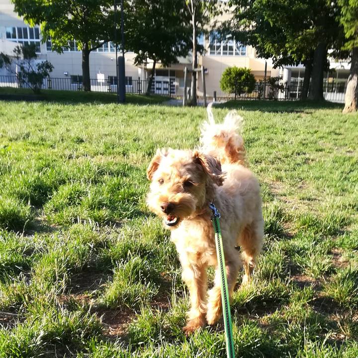 918d4b80 b9e5 4f83 aaac 4f4941d455f2 1562278760736