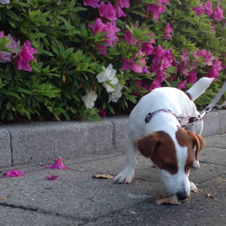 918d7078 2b93 4a13 81db 592254a13e2f 1525716409175