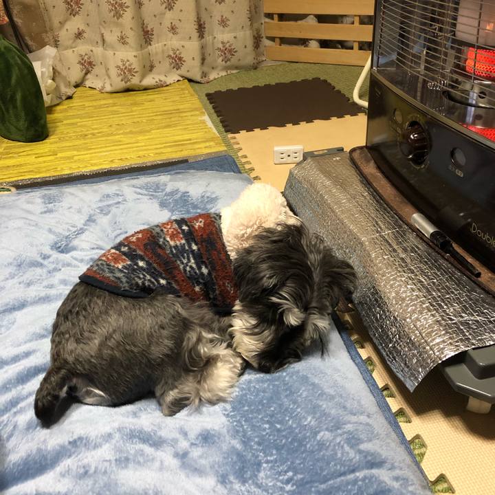 918d7900 1e1b 4af3 999f cf73247620ff 1677413350969