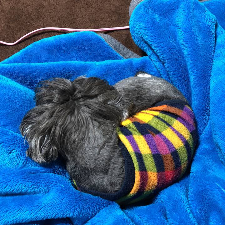 918d96fd 8ddd 45b0 9163 7abe0d68e5c0 1518275418388