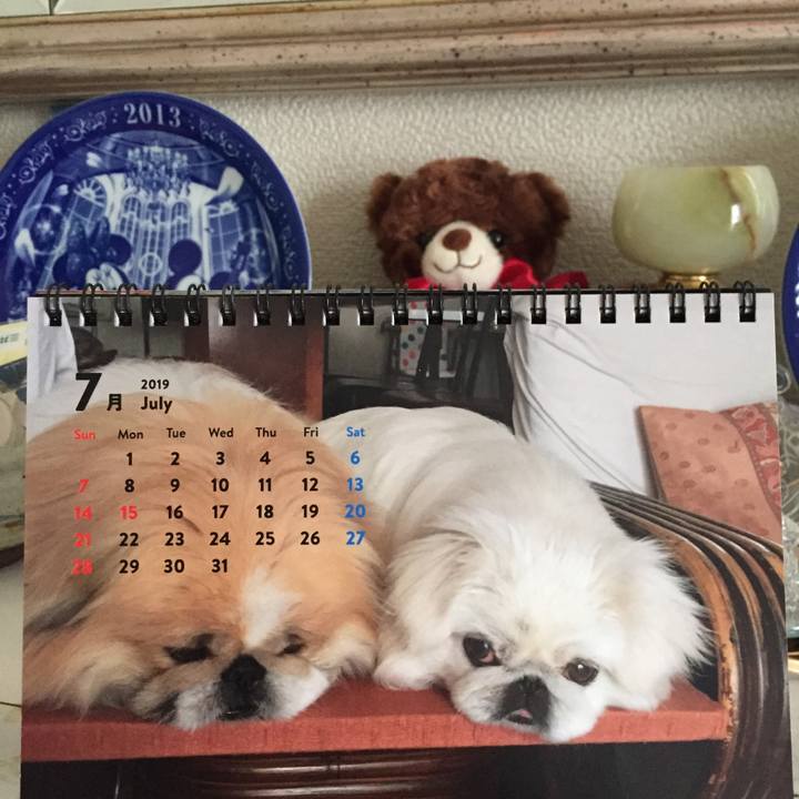 918da696 e727 4dd9 a8a3 f1be4cbdee23 1562972032231