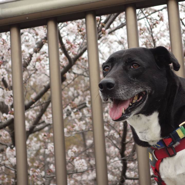 918daf3c 15ef 4375 a718 0e38e709ed27 1679532536421